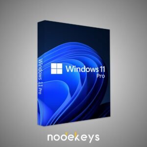 Windows 11 Pro